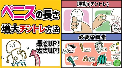 ちんこを大きくする方法10選｜ペニスを増大成長させ 